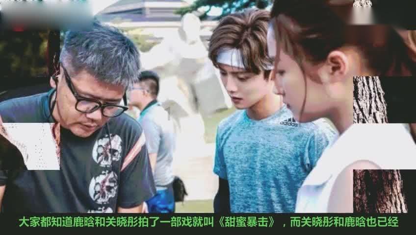 拯救可爱小浣熊